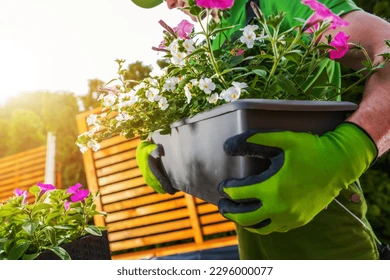 احواض زراعة